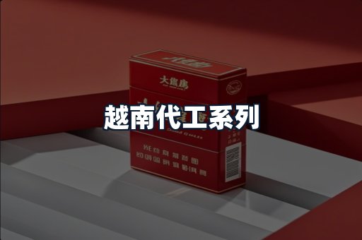 越南代工系列
